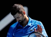 开云体育-联合杯碾压温网，德约科维奇统治全场的简单介绍