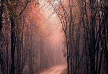 开云体育中国官网-美国网球队绝地反击澳大利亚网球队，穆雷完成帽子戏法的简单介绍