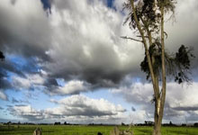 开云体育中国官网-美国网球队绝地反击澳大利亚网球队，穆雷完成帽子戏法的简单介绍