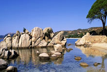 开云体育中国官网-美国网球队绝地反击澳大利亚网球队，穆雷完成帽子戏法的简单介绍