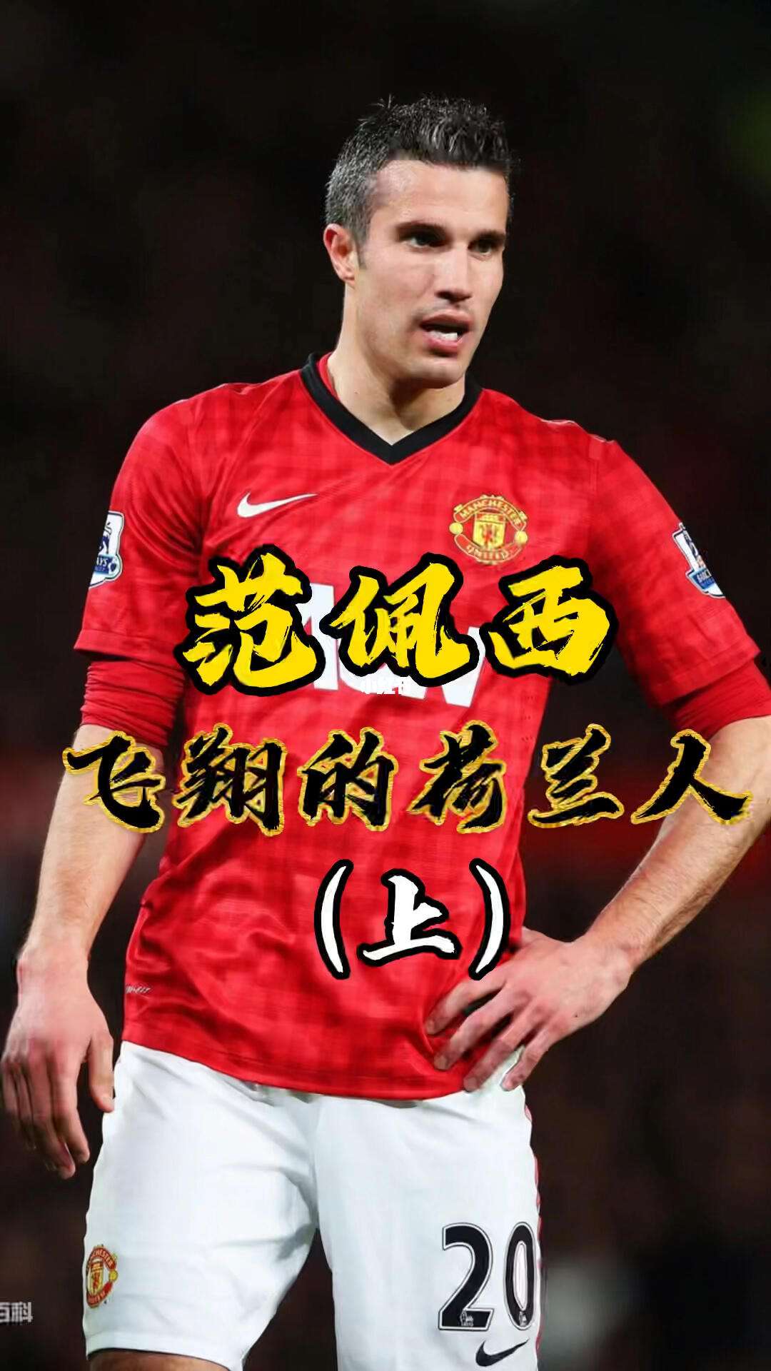 尤文逆转塞维利亚，范佩西惊艳世界