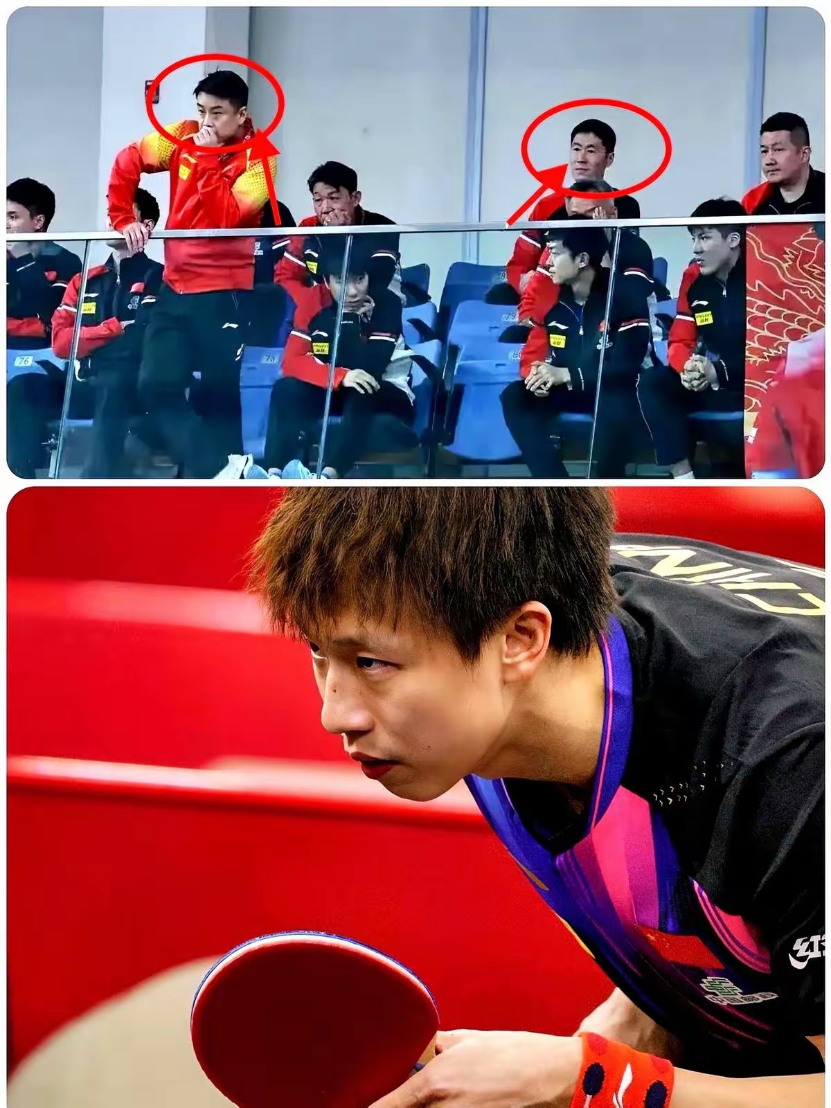 关于比利时乒乓球队爆冷德国乒乓球队,王皓统治全场的信息 关于比利时乒乓球队爆冷德国乒乓球队,王皓统治全场的信息