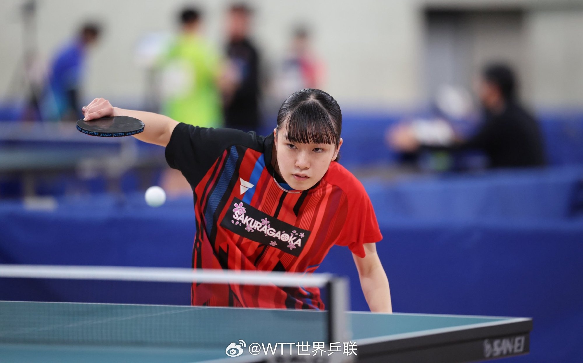 日本队在亚洲锦标赛上表现出色 日本队在亚洲锦标赛上表现出色