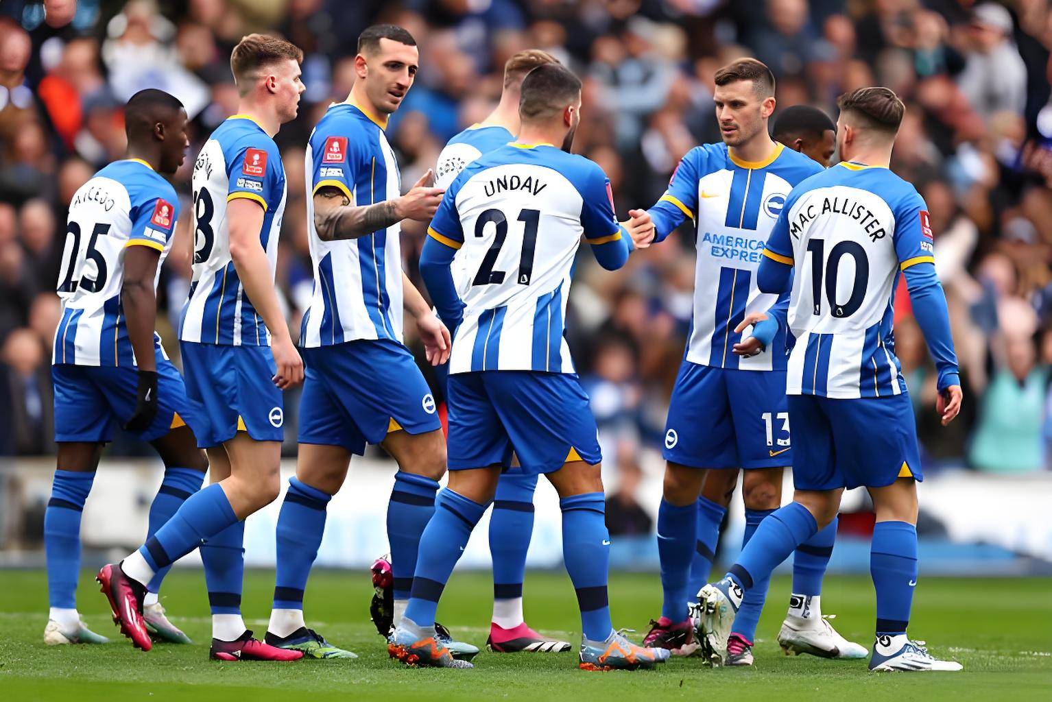 布赖顿迎战利物浦,英超保级压力前所未有的简单介绍 布赖顿迎战利物浦,英超保级压力前所未有的简单介绍