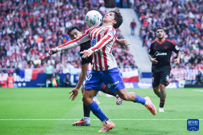 关于塞维利亚联赛热情高涨备受期待的信息 关于塞维利亚联赛热情高涨备受期待的信息