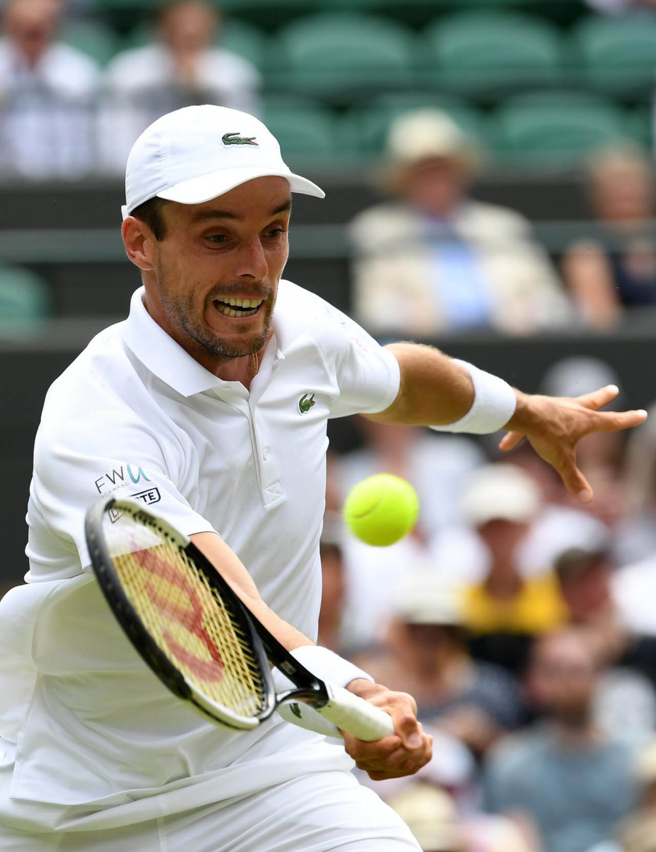 包含西班牙网球队碾压日本网球队,西西帕斯高光表现的词条 包含西班牙网球队碾压日本网球队,西西帕斯高光表现的词条